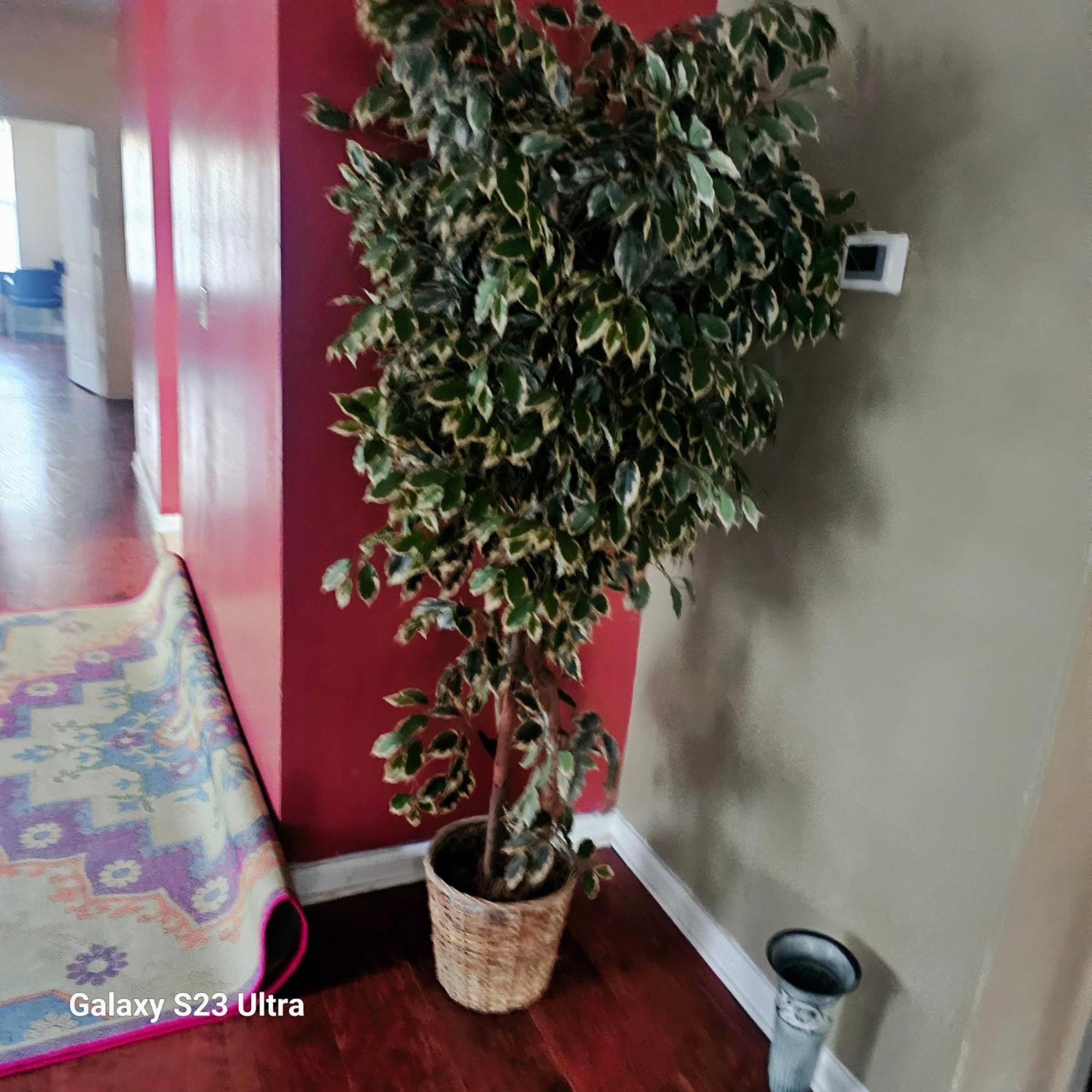 Divine Villa & Resorts Guest House - 283 Lehigh Ave Newark Extérieur photo